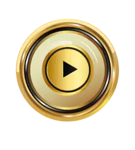 trex689 หน้าแรก